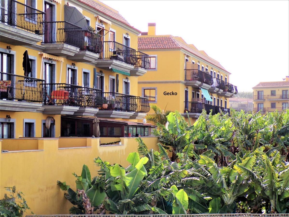 Gecko Apartamento Tazacorte Exterior foto